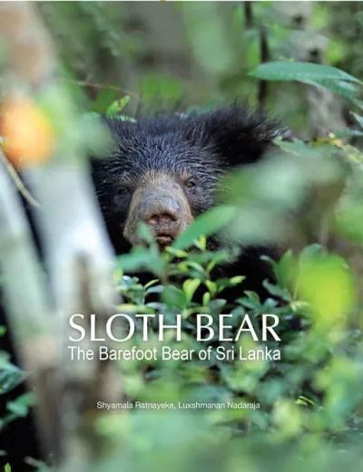 Sloth Bear: The Barefoot Bear of Sri Lanka